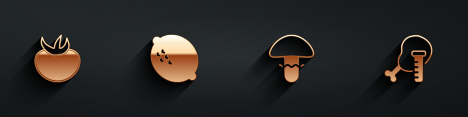 Set Tomato, Lemon, Mushroom and Genetically modified chicken icon with long shadow. Vector