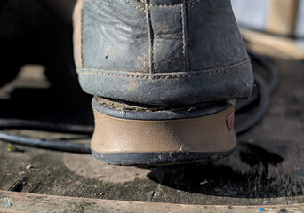 Photo of worn leather boot on the wood