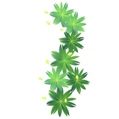 Vector of bouquet of green leaves.