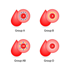ABO Blood groups. four blood types, A,B, AB and O groups, made up from combinations of the type A and type B antigens. Blood donation. Vector illustration.