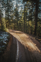 Fototapeta na wymiar ATV trail through Pike national Forest in Sedalia Colorado with patch of sunlight