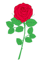 Obraz premium 一輪の薔薇の手描きイラスト