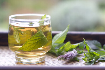 Herbal Mint Tea. Spearmint Tea in a clear glass on a bamboo tray serving with fresh mint leaves and flower in the morning sunrise. Healthy food concept Herbal Tea. 