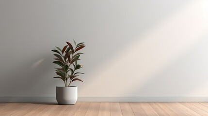 Light gray wall and and a wooden floor with a potted plant with interesting light glare
