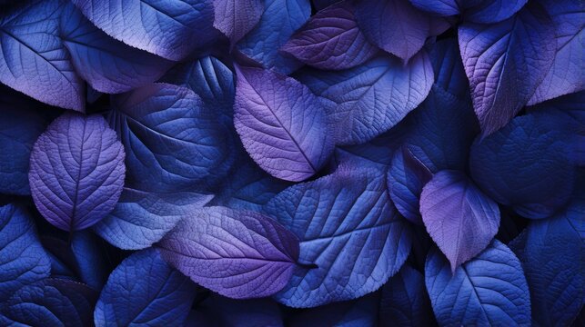 Natural macro texture of beautiful leaves toned in blue and purple-pink tones © Creative Canvas