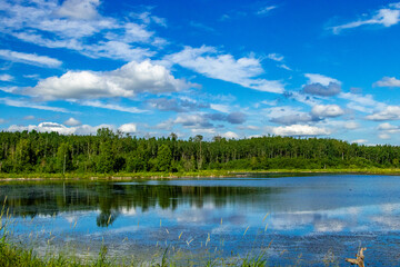 Road side Elk Island National Park Alberta Canada