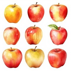 set red apples of watercolors on white background