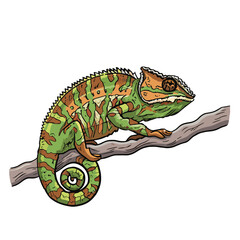 Cute Chameleon vector illustration © IllustroHub