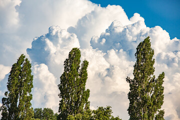 Gewitterwolken über dem Schwarzwald