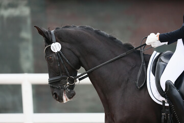 Portrait of a horse during a performance at equestrian competitions. Rider landing and horse control