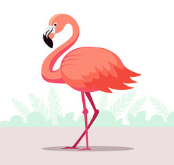 illustration of a flamingo