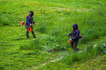 two municipal lawnmower men with string trimmers trimming grass at sunny day