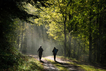 Spectacular beam of light in the forest early in the morning, showing two silhouettes of hikers.