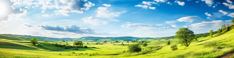 Obraz premium banner landscape with green field and sky