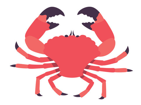 the big crab. Vector illustration on a white background.