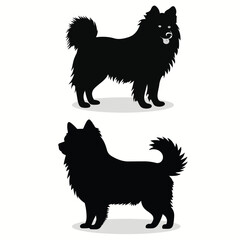 Obraz premium American Eskimo silhouettes and icons. black flat color simple elegant American Eskimo animal vector and illustration.