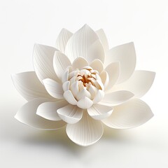 a white flower with petals