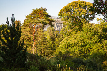 Botanischer Garten Berlin