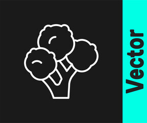 White line Broccoli icon isolated on black background. Vector