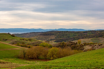 Naklejka premium Blick über den Kaiserstuhl und die Rheinebene nach Frankreich