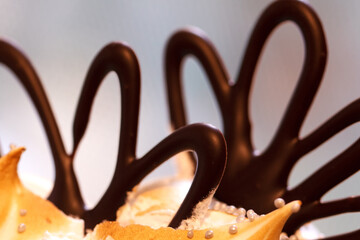Close up of a chocolate cake decoration
