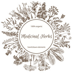 Retro background with medicinal herbs. Medicinal plants, hand drawn illustration. Retro vintage graphic design. Botanical drawing sketch