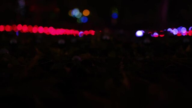 Beautiful Abstract Colorful LED Illumination on Forest Ground Litter