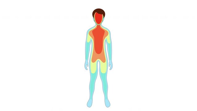 Drop of Body temperature during hypothermia. 2d animation