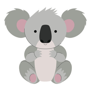 australian koala exotic animal