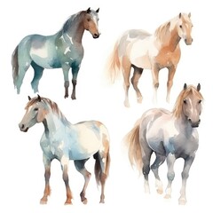 set Funny cute horse racers of watercolors on white background