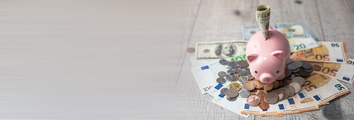 piggy bank with coins and money