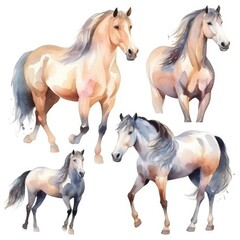 Naklejka na ściany i meble set Funny cute horse racers of watercolors on white background