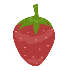 Strawberry fruit illustration