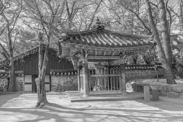 Fototapeta premium Gyeongju, South Korea - November 20 2023 