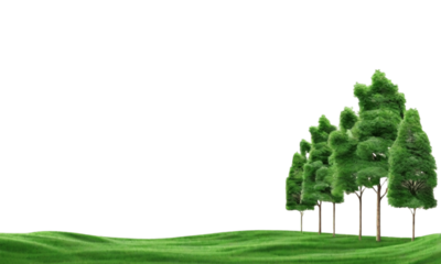  green grass field transparent backgrounds 3d rendering png file