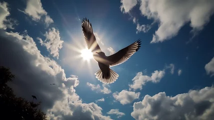 Deurstickers a bird flying in the sky © Ion