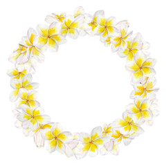 White frangipani wreath. Watercolor hand drawn clip art of exotic flower plumeria. Tropical painting for wedding invitations, spa and massage salon prints, cosmetic packing, travel guides