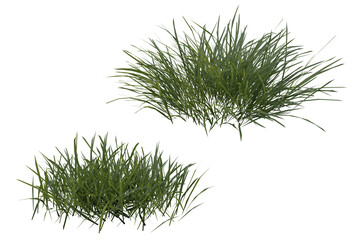Bunches of grass on a transparent background. 3D rendering.	