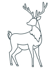 Forest animals, vector design, Reindeer isolated vector illustration.outline deer line  logo vector icon template illustration. deer line icon in simple design on a white background.