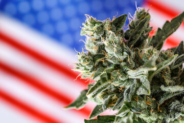 Cannabis legalization in the united states of america .Legalization Marijuana or Cannabis.Medical...