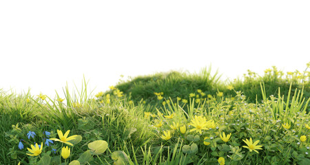 Verdant Hill Blooming with Yellow Flowers in Spring. 3D render.