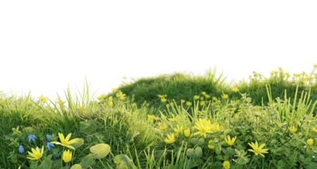 Verdant Hill Blooming with Yellow Flowers in Spring. 3D render.