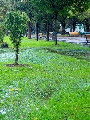 Park after the rain. Park lawn in puddles. After bad weather.  Autumn in the park.