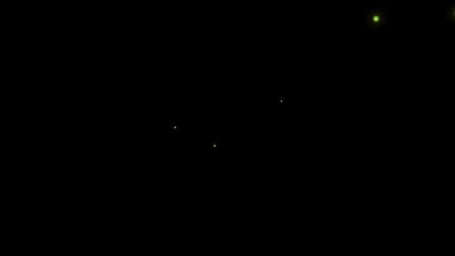 firefly animation with black background overlay