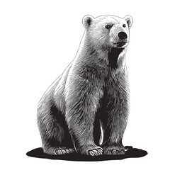 Polar bear sketch hand drawn in doodle style illustration - obrazy, fototapety, plakaty