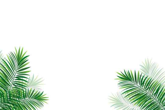 Green amazon border frame with exotic jungle plants, palm leaves and place for text. Summer foliage vector background. Simple tropic design for travel, vacations card and banners