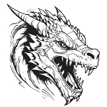 Hand drawn chineese dragon isolated on white background. Vector