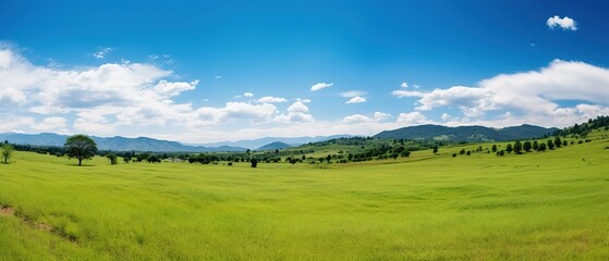 Panoramic view of green meadow and mountains under blue sky. High quality photo