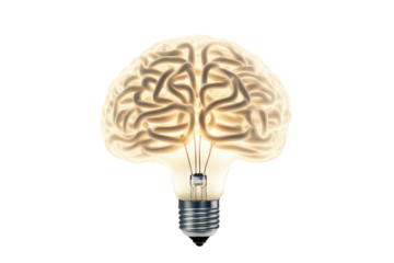 a high quality stock photograph of a Brain shaped filament light bulb. Conceptual illustration for idea, creativity, solution, innovation, invention, inspiration, imagination isolated on a white backg