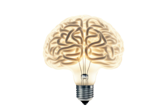 a high quality stock photograph of a Brain shaped filament light bulb. Conceptual illustration for idea, creativity, solution, innovation, invention, inspiration, imagination isolated on a white backg